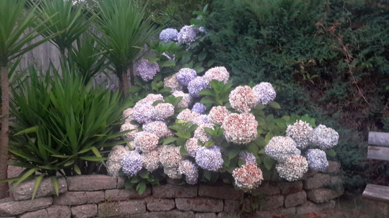 Photo of Outdoor in Cacia
