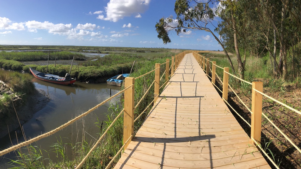 Photo of Outdoor in Cacia