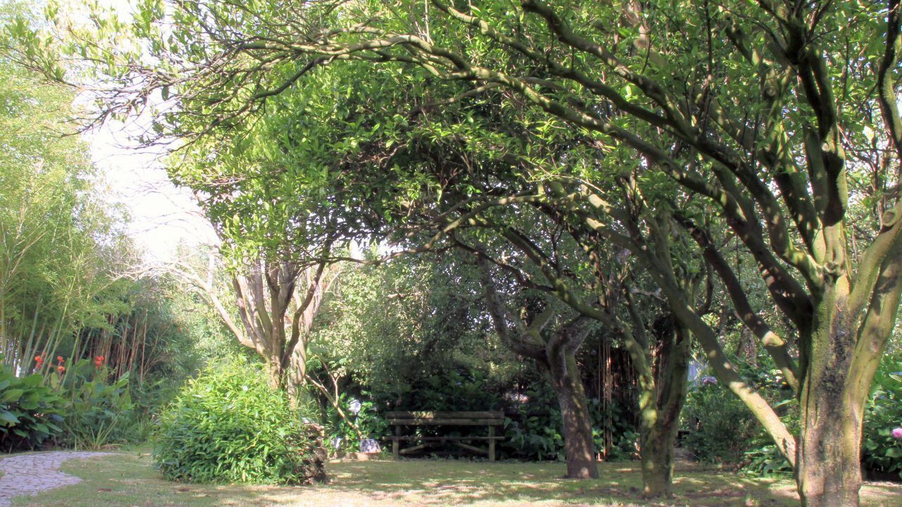 Photo of Outdoor in Cacia