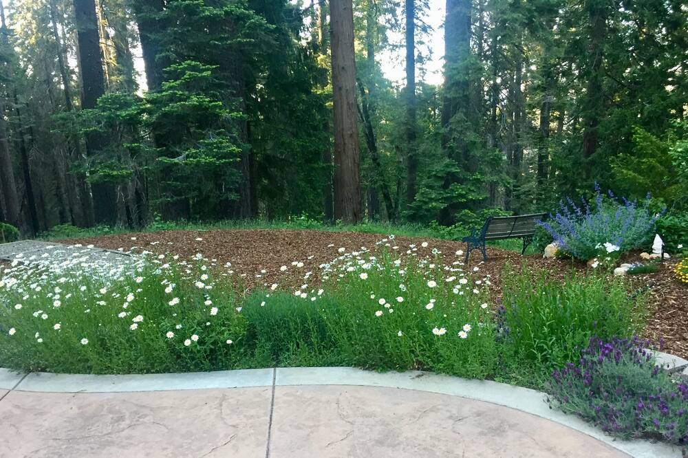 Photo of Outdoor in Pollock Pines