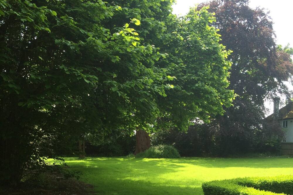 Photo of Outdoor in Fifield