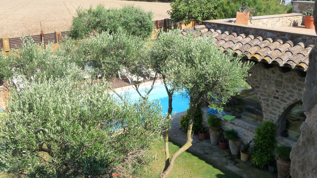 Photo of Outdoor in Torroella de Montgri
