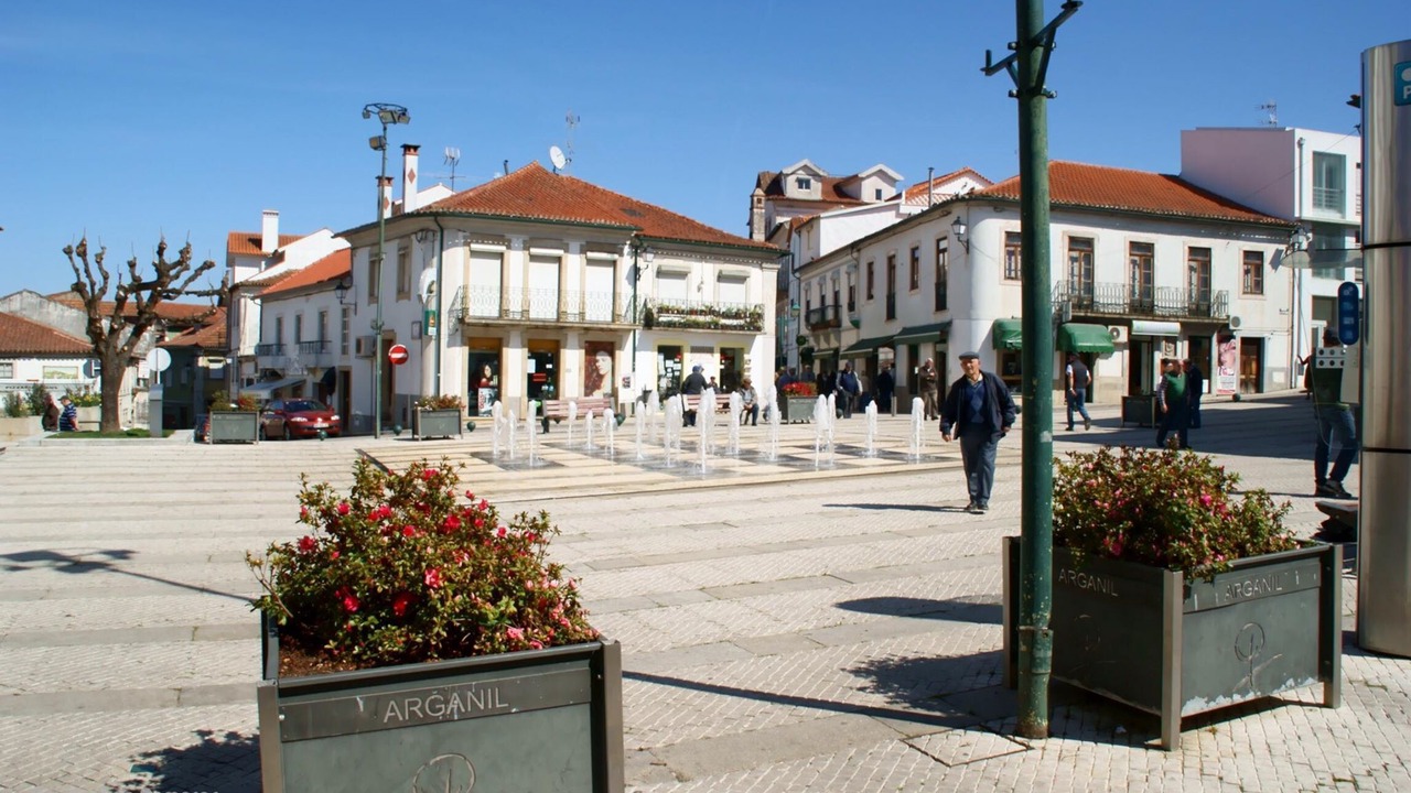 Photo of Outdoor in Moitas