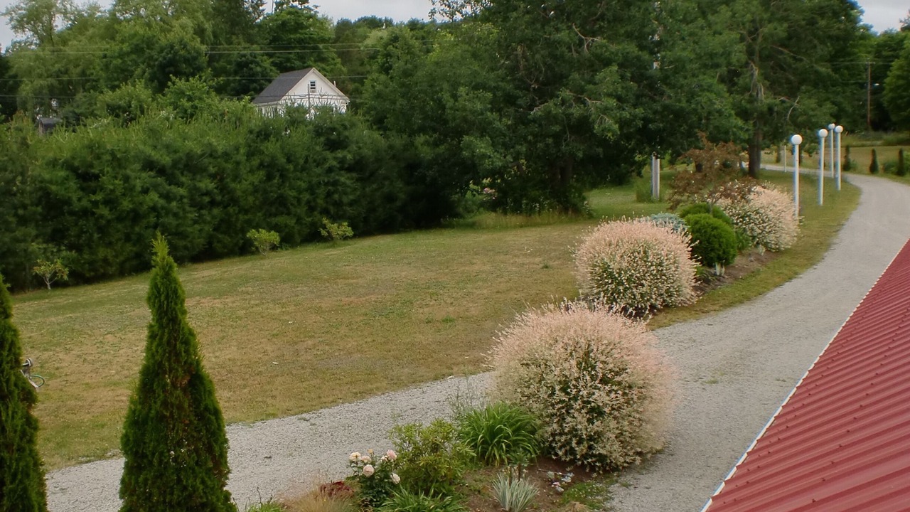 Photo of Outdoor in Canning