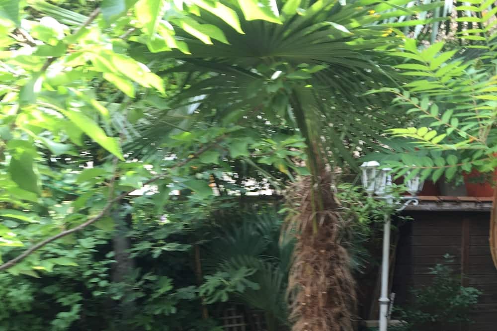 Photo of Outdoor in Montrouge