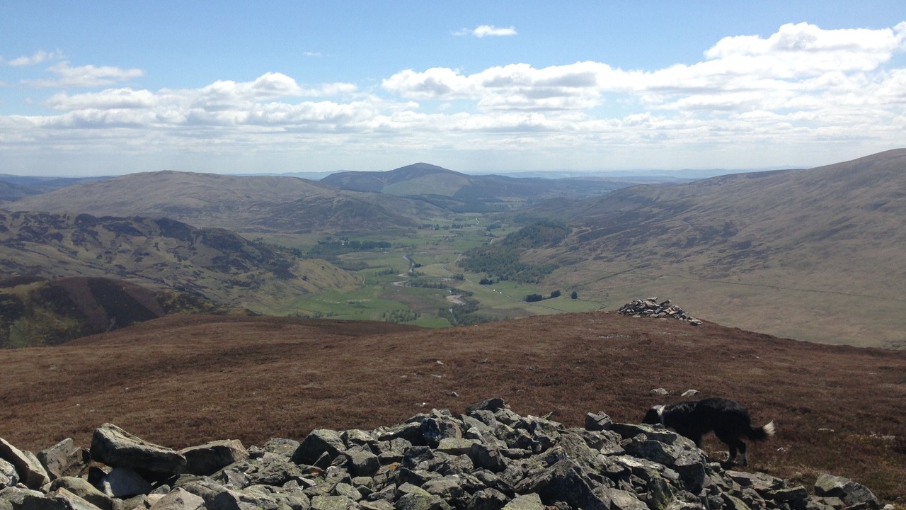 Photo of Outdoor in Glenisla