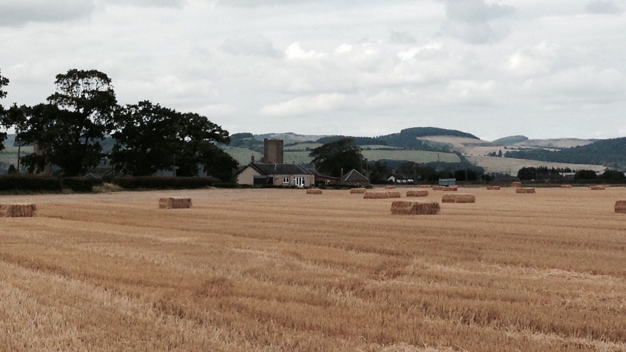Photo of Outdoor in Glenisla