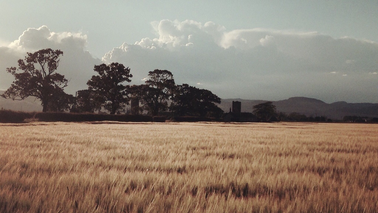 Photo of Outdoor in Glenisla