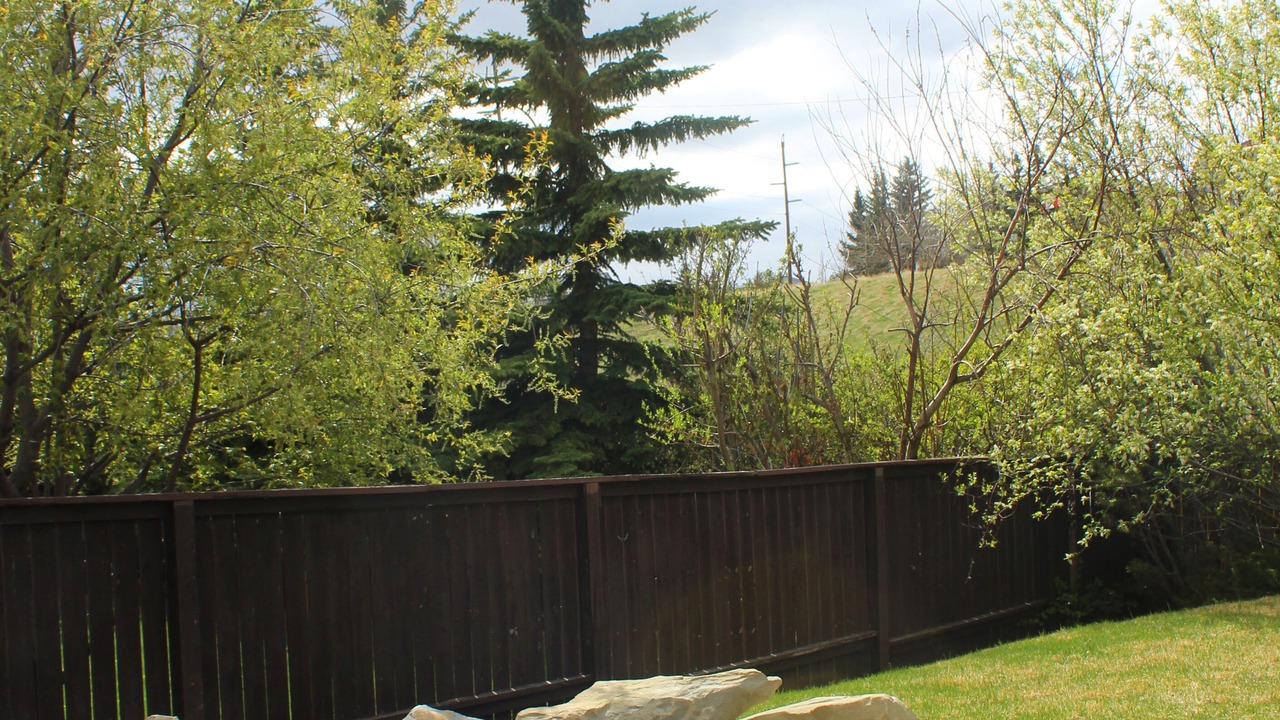 Photo of Outdoor in Hawkwood
