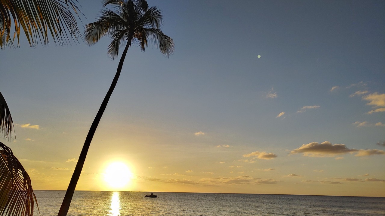 Photo of Others in Frederiksted Southeast