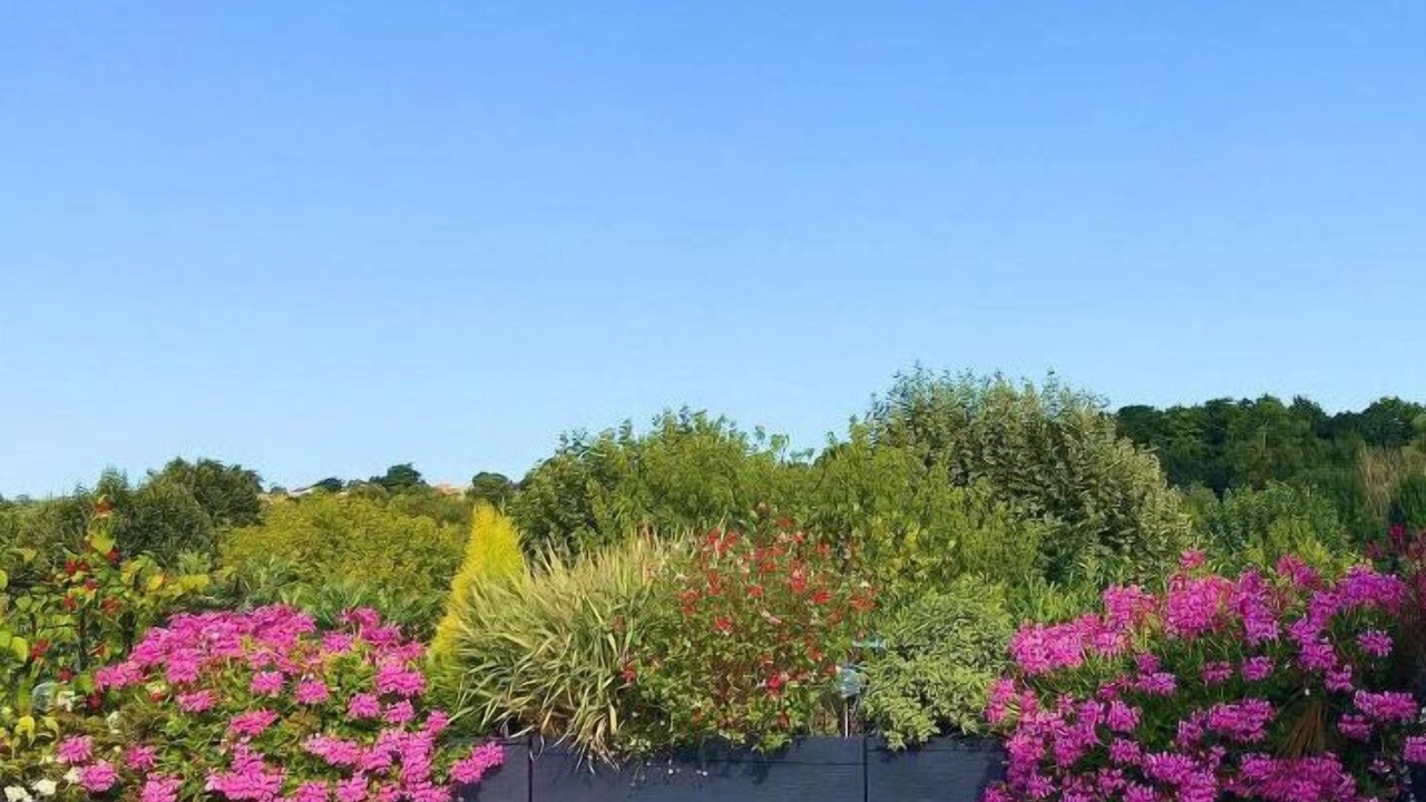 Photo of Outdoor in Vaux-sur-Mer