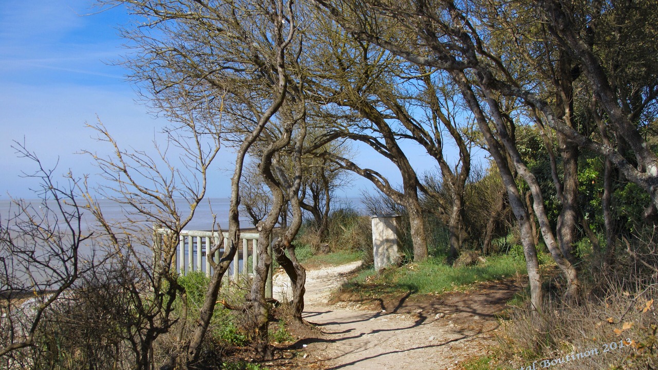 Photo of Outdoor in Vaux-sur-Mer