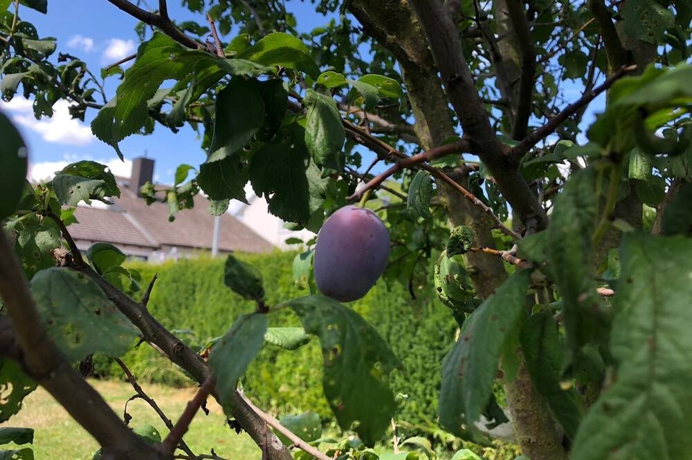 Photo of Outdoor in Wehrheim