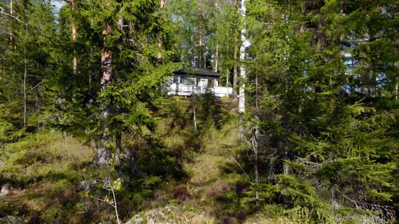 Photo of Outdoor in Orivesi
