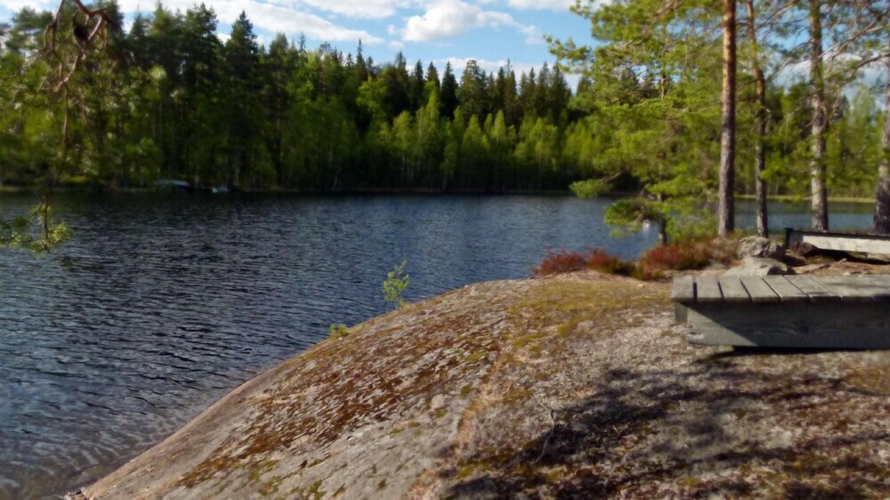 Photo of Outdoor in Orivesi