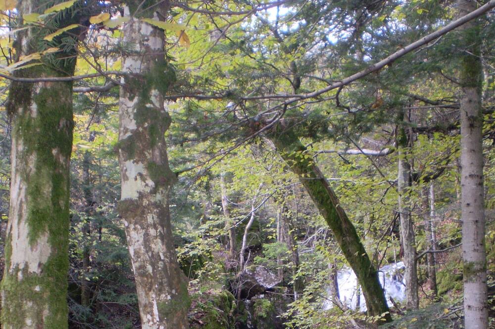 Photo of Outdoor in Sewen