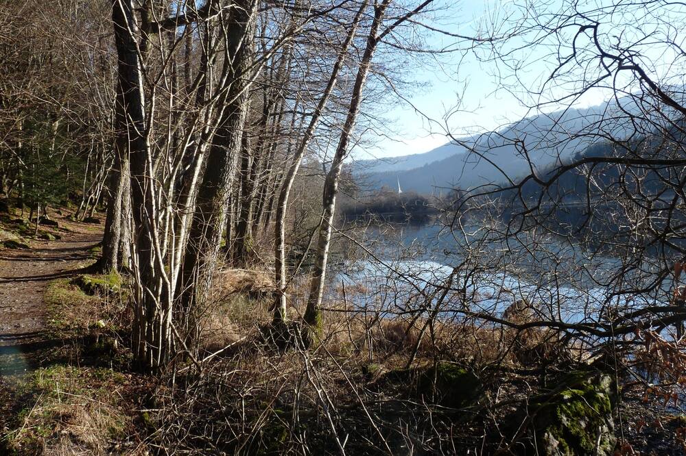 Photo of Outdoor in Sewen