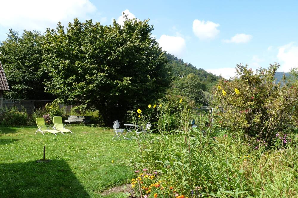 Photo of Outdoor in Sewen