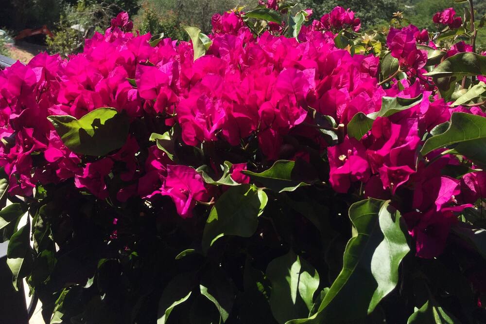 Photo of Outdoor in Gairaut