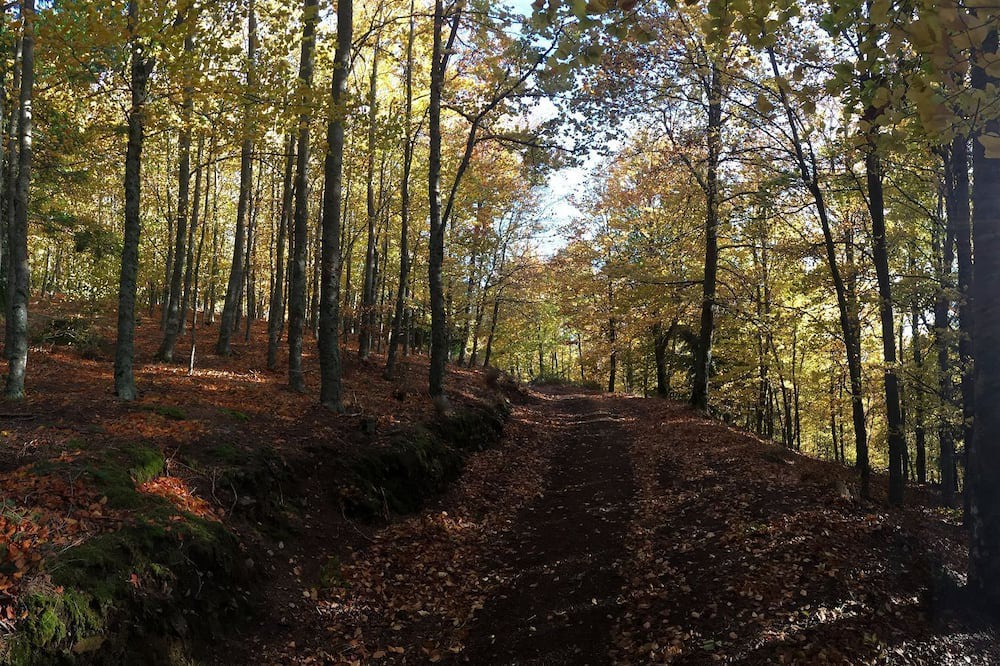 Photo of Outdoor in Vila Ruiva