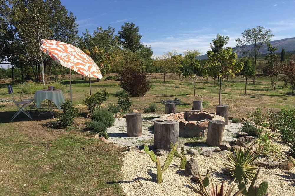 Photo of Outdoor in Vila Ruiva