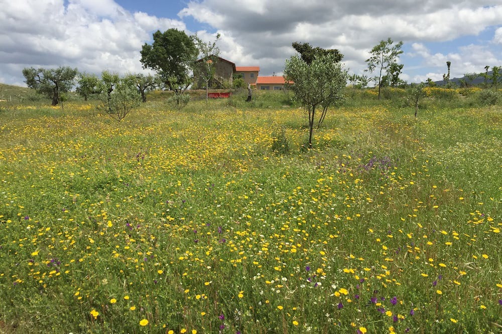 Photo of Outdoor in Vila Ruiva