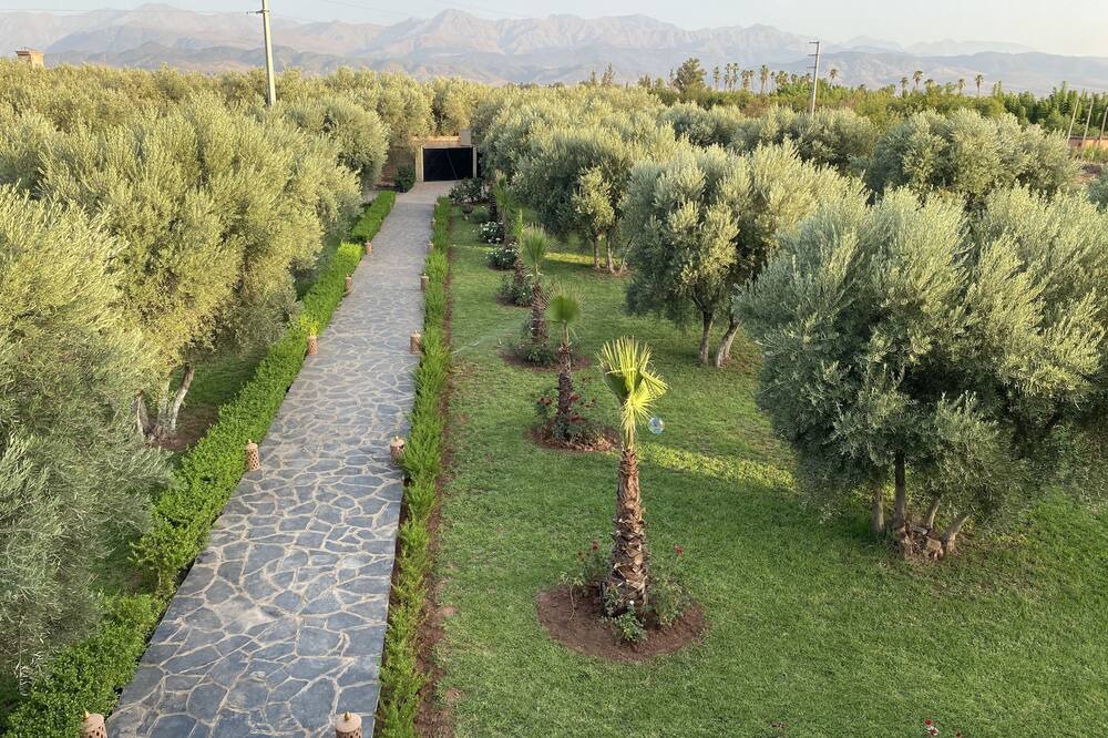 Photo of Outdoor in Ait Zat