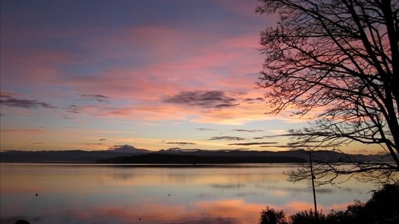 Photo of Others in Lummi Island