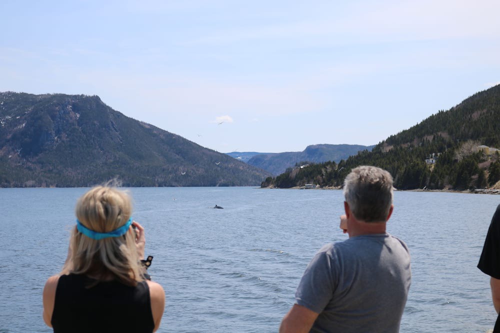 Photo of Others in Glenburnie-Birchy Head-Shoal Brook
