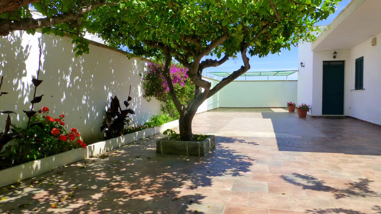 Photo of Outdoor in Lendinuso