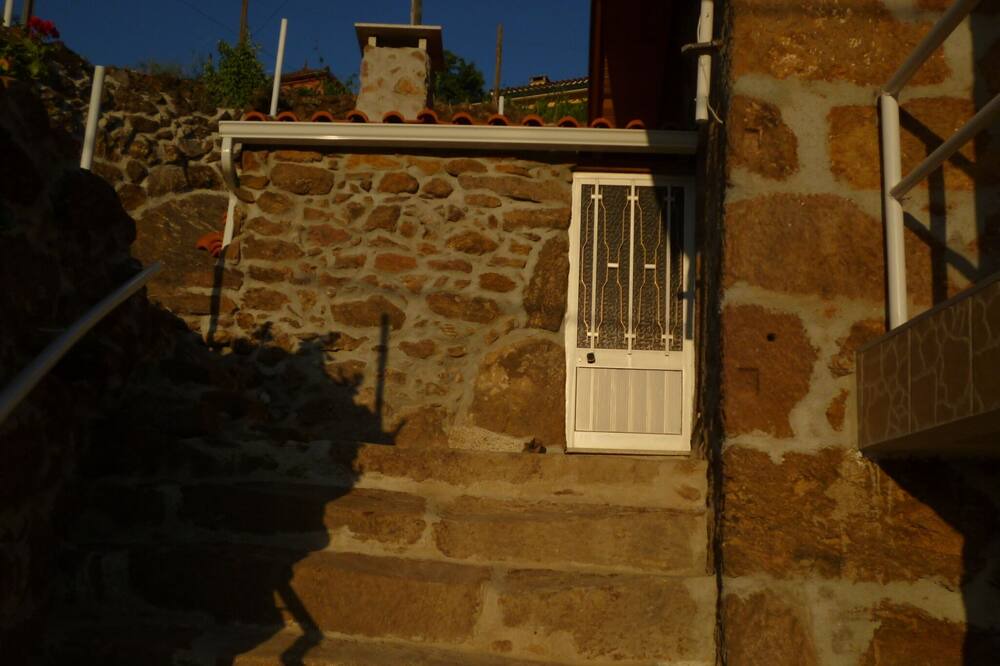 Photo of Outdoor in Ribeira de Pena