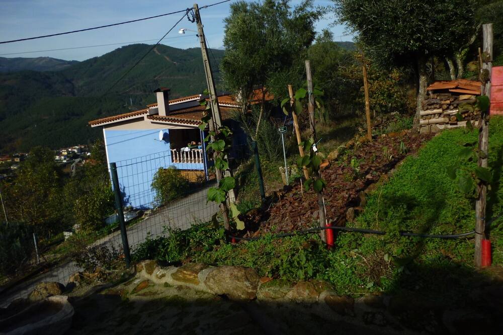 Photo of Outdoor in Ribeira de Pena