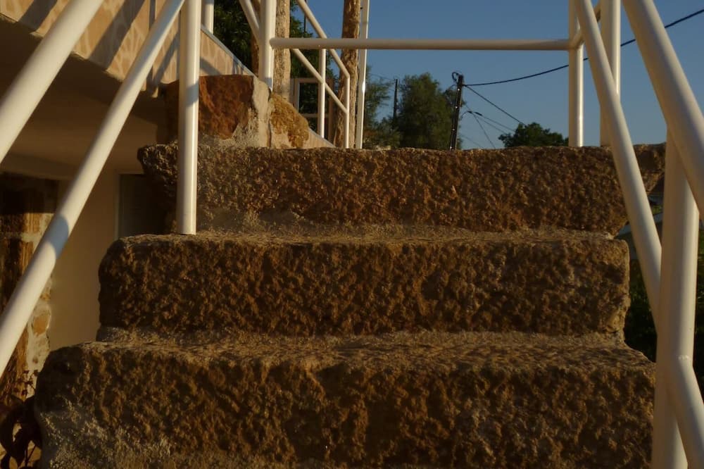Photo of Others in Ribeira de Pena