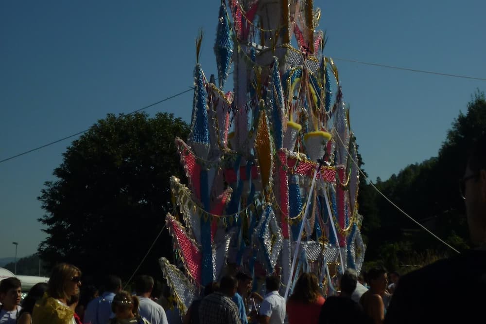 Photo of Others in Ribeira de Pena