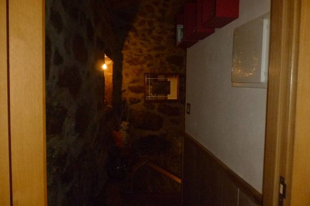 Photo of Others in Ribeira de Pena