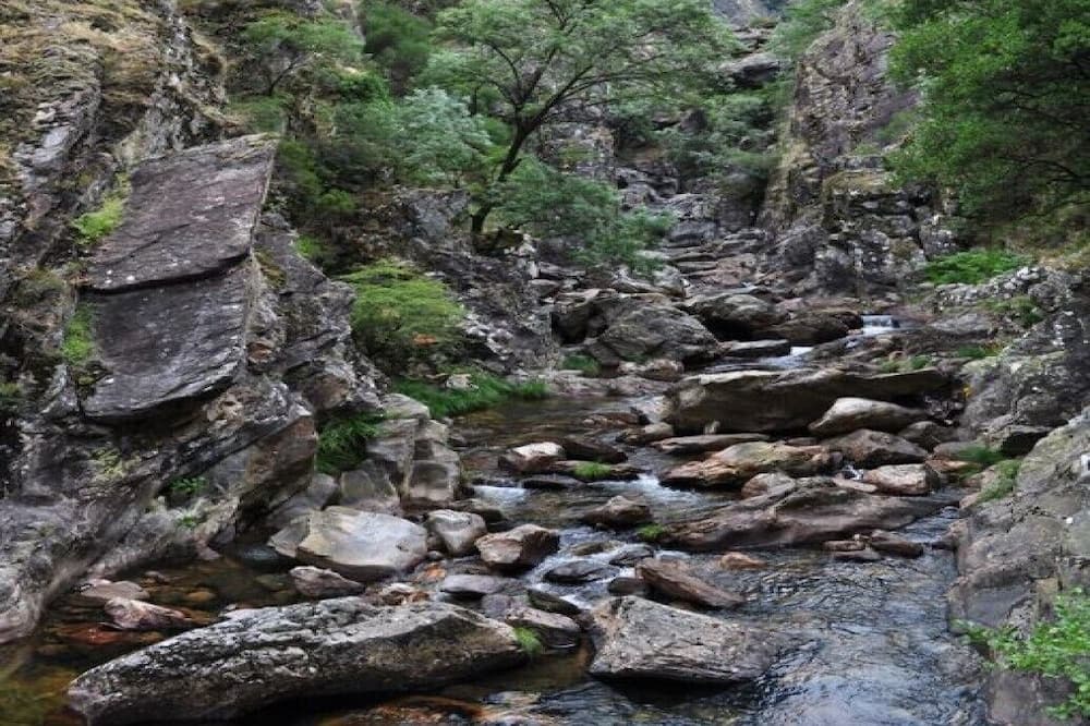 Photo of Outdoor in Ribeira de Pena