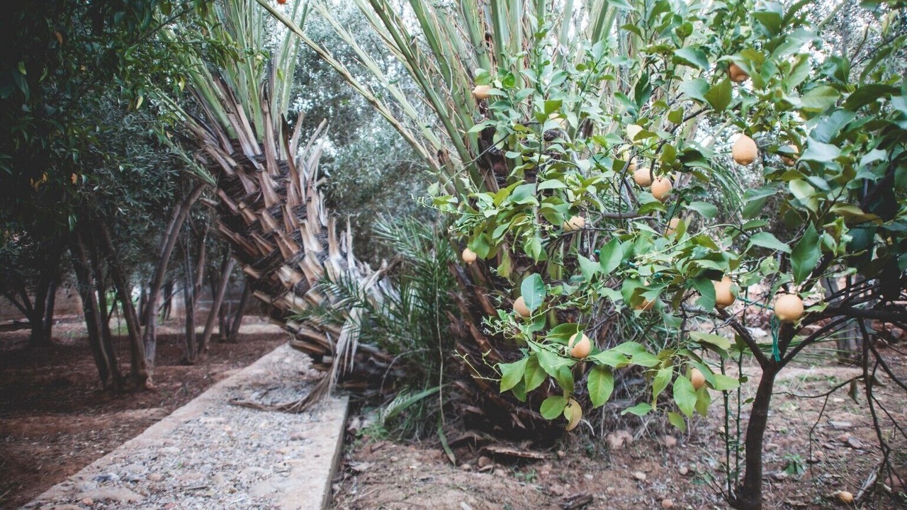 Photo of Outdoor in Ammelne