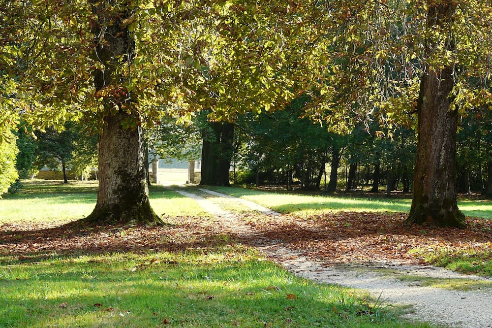 Photo of Outdoor in L'Etang-Vergy