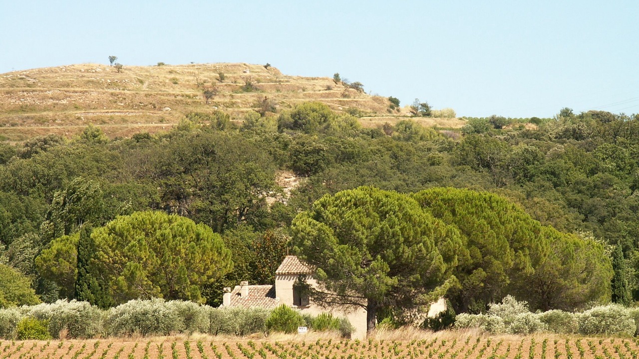 Photo of Others in Le Pouget