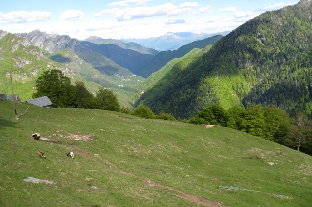 Photo of Outdoor in Spruga