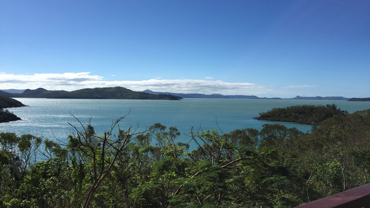 Photo of Others in Shute Harbour