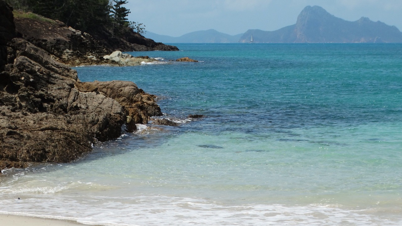 Photo of Others in Shute Harbour