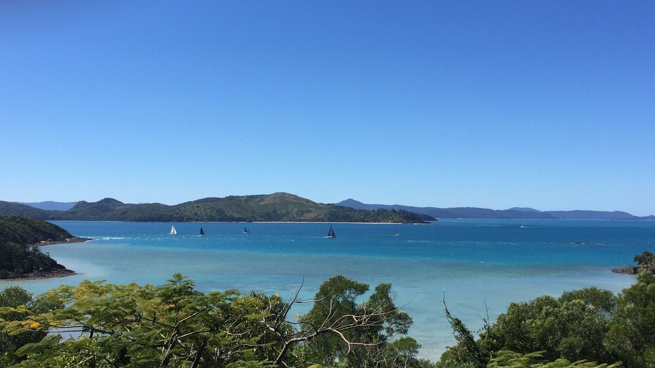 Photo of Others in Shute Harbour