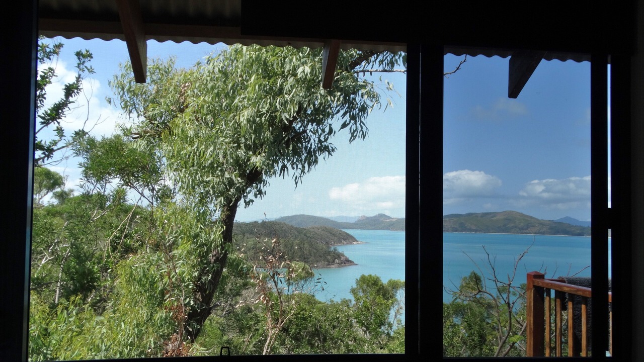 Photo of Outdoor in Shute Harbour