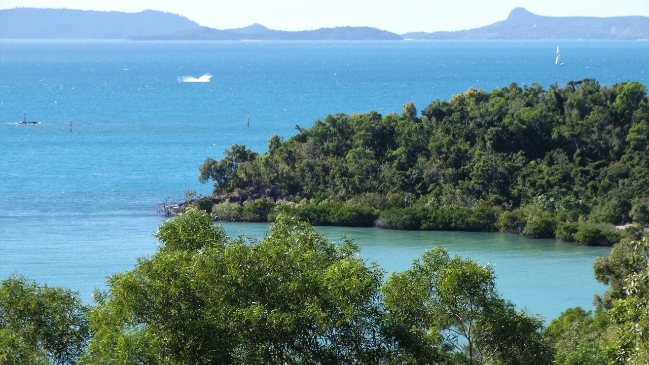 Photo of Others in Shute Harbour