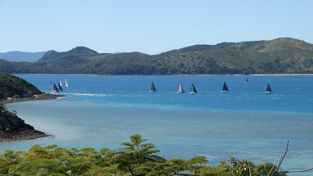 Photo of Others in Shute Harbour