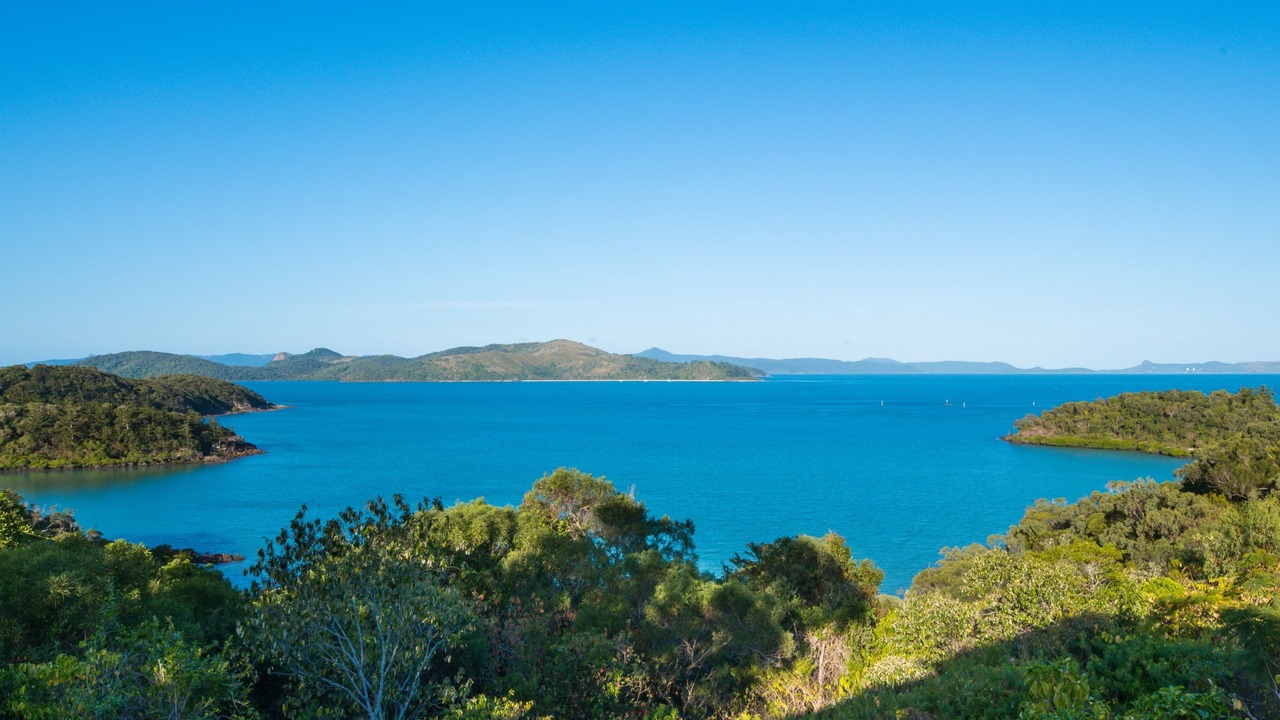 Photo of Others in Shute Harbour