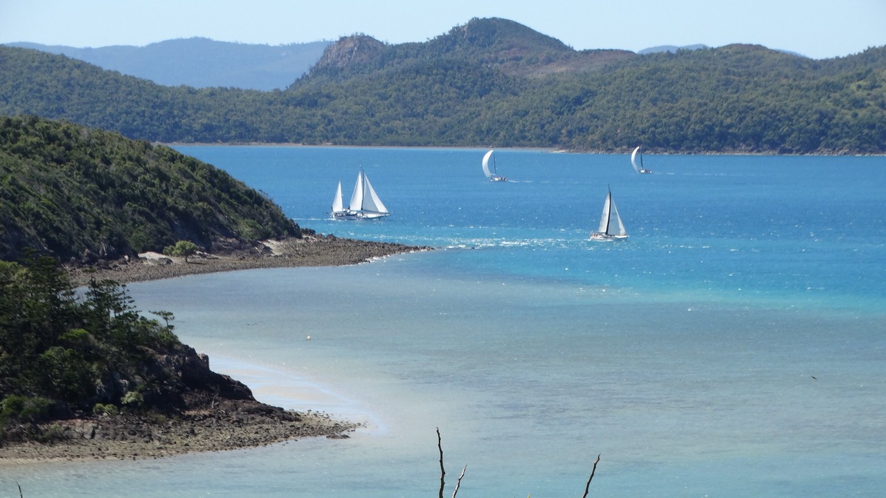 Photo of Others in Shute Harbour