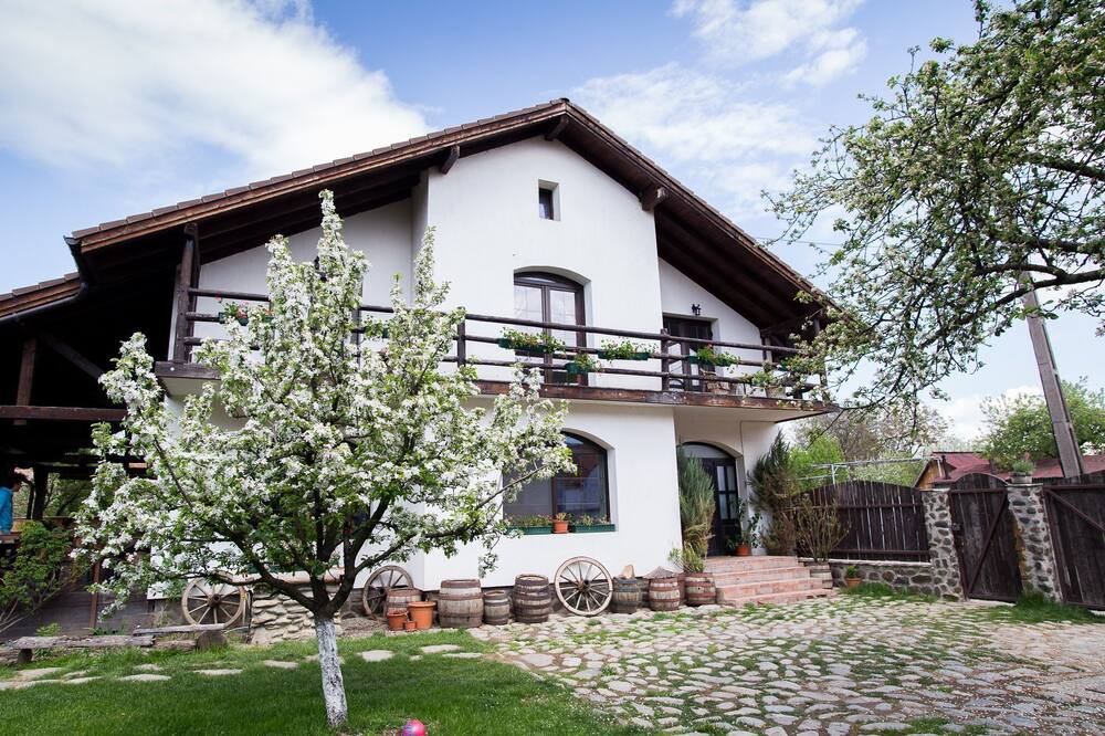 Photo of Outdoor in Cartisoara
