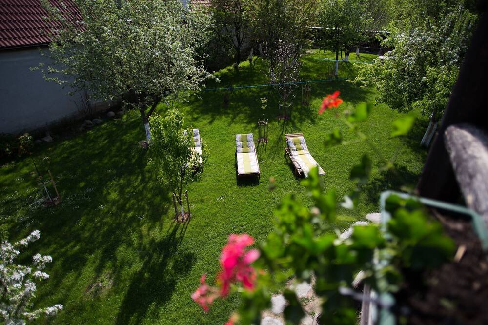 Photo of Outdoor in Cartisoara